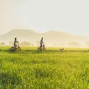 Sunlit Countryside Escape  screen for extension Chrome web store in OffiDocs Chromium