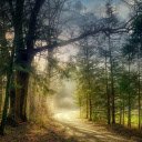 Sunny dirt road  screen for extension Chrome web store in OffiDocs Chromium
