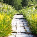 Sunny road and flowery grass  screen for extension Chrome web store in OffiDocs Chromium