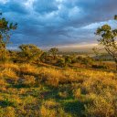 Sunny tree hills  screen for extension Chrome web store in OffiDocs Chromium