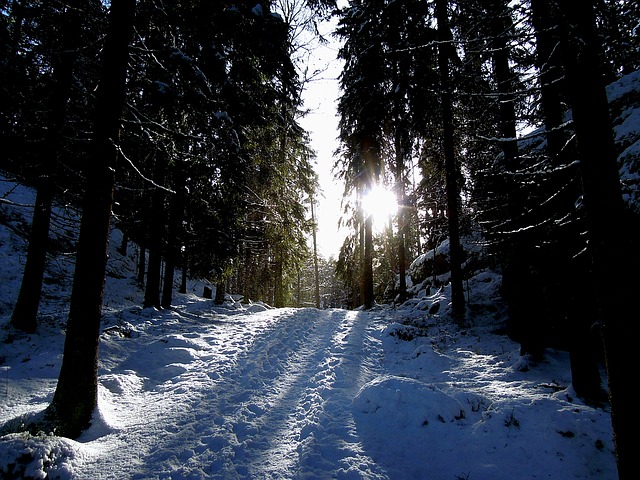 Descărcare gratuită drumul soarelui zăpadă natură finlanda albastru imagine gratuită pentru a fi editată cu editorul de imagini online gratuit GIMP
