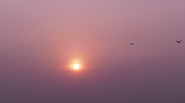 Unduh gratis Sunrise Morning Sun Sunset - foto atau gambar gratis untuk diedit dengan editor gambar online GIMP
