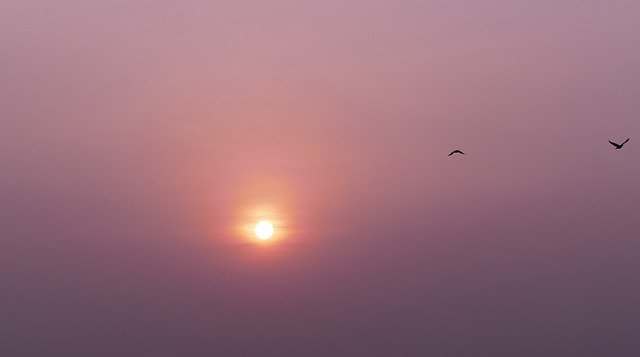 Free download Sunrise Morning Sun Sunset -  free photo or picture to be edited with GIMP online image editor