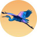 Sunset Birds !!  screen for extension Chrome web store in OffiDocs Chromium