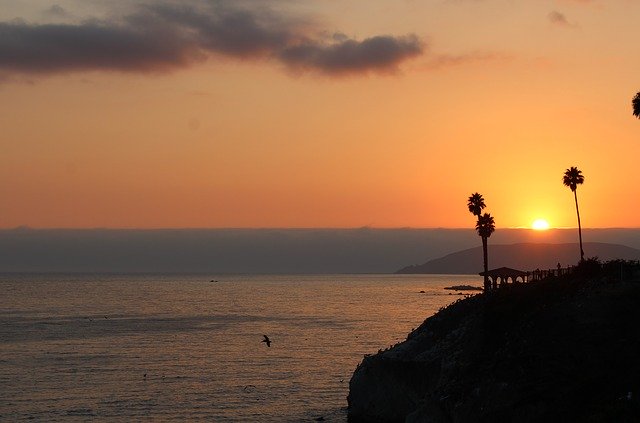Free download sunset california ca palm trees free picture to be edited with GIMP free online image editor