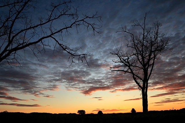 Muat turun percuma sunset canal du midi nature trees gambar percuma untuk diedit dengan editor imej dalam talian percuma GIMP