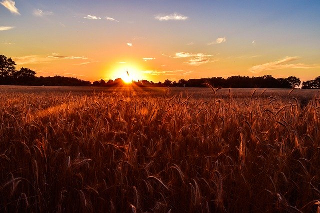 Descărcare gratuită sunset field country sun summer poza gratuită pentru a fi editată cu editorul de imagini online gratuit GIMP