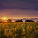 sunset in the fields  screen for extension Chrome web store in OffiDocs Chromium