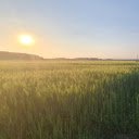Sunset in the fields  screen for extension Chrome web store in OffiDocs Chromium