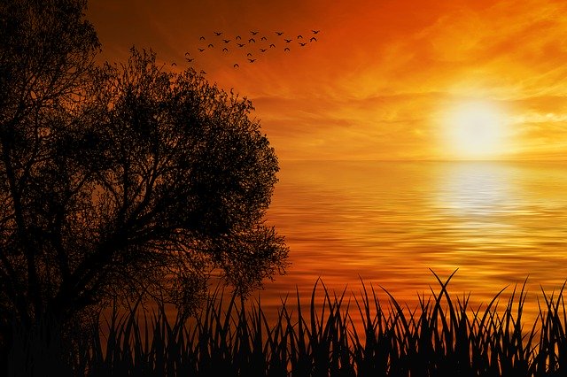 免费下载日落自然太阳海剪影免费图片以使用 GIMP 免费在线图像编辑器进行编辑