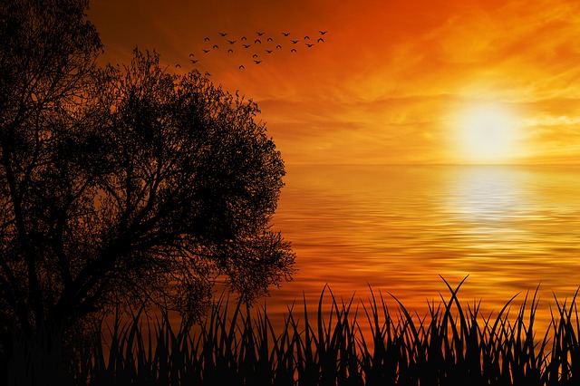 Free download sunset nature sun sea silhouette free picture to be edited with GIMP free online image editor