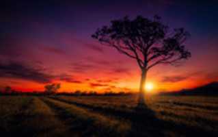 Free download sunset_scenery free photo or picture to be edited with GIMP online image editor