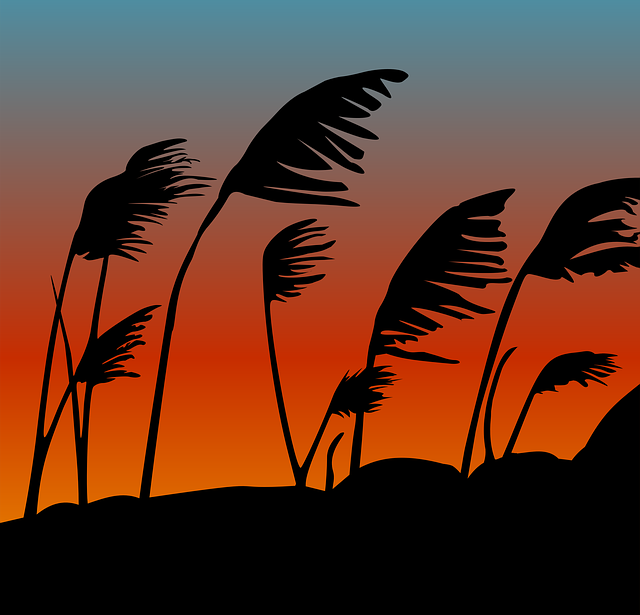 Téléchargement gratuit Sunset Silhouette Dusk - photo ou image gratuite à modifier avec l'éditeur d'images en ligne GIMP