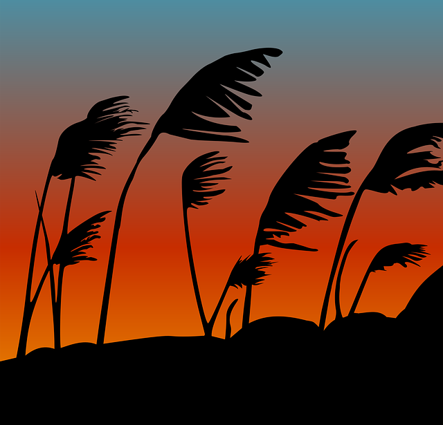 Free download Sunset Silhouette Dusk -  free photo or picture to be edited with GIMP online image editor