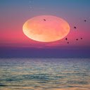 Sunset sun wallpaper  screen for extension Chrome web store in OffiDocs Chromium