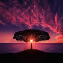 Sunset tree  screen for extension Chrome web store in OffiDocs Chromium