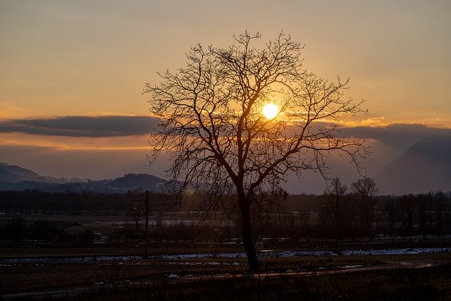 Free download sunset tree nature dusk outdoors free picture to be edited with GIMP free online image editor