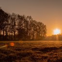 Sunshine on the field  screen for extension Chrome web store in OffiDocs Chromium