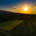 Sunshine on the grape fields  screen for extension Chrome web store in OffiDocs Chromium