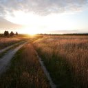 Sunshine on the small road  screen for extension Chrome web store in OffiDocs Chromium