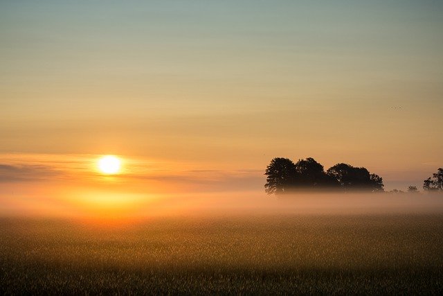 Free download sun sunrise nature fog bank fog free picture to be edited with GIMP free online image editor
