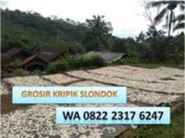 Free download Supplier Harga Slondok Mentah Per Kilo Bandung, TLP. 0822 2317 6247 free photo or picture to be edited with GIMP online image editor