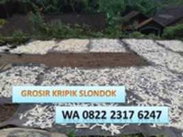 Free download Supplier Harga Slondok Pedas Bandung, TLP. 0822 2317 6247 free photo or picture to be edited with GIMP online image editor