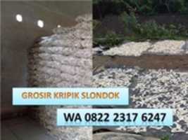 Free download Supplier Harga Slondok Per Kilo Bandung, TLP. 0822 2317 6247 free photo or picture to be edited with GIMP online image editor