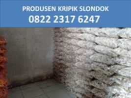 Free download Supplier Harga Slondok Per Kilo Semarang, TLP. 0822 2317 6247 free photo or picture to be edited with GIMP online image editor