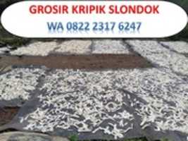 Free download Supplier Slondok Mentah Jakarta, TLP. 0822 2317 6247 free photo or picture to be edited with GIMP online image editor