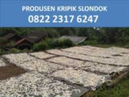 Free download Supplier Slondok Singkong Tangerang, TLP. 0822 2317 6247 free photo or picture to be edited with GIMP online image editor