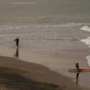 Surfboard  screen for extension Chrome web store in OffiDocs Chromium