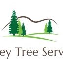 Pantalla de Surrey Tree Services para la extensión Chrome web store en OffiDocs Chromium