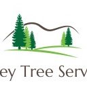 Ekran Surrey Tree Services dla rozszerzenia sklepu internetowego Chrome w OffiDocs Chromium