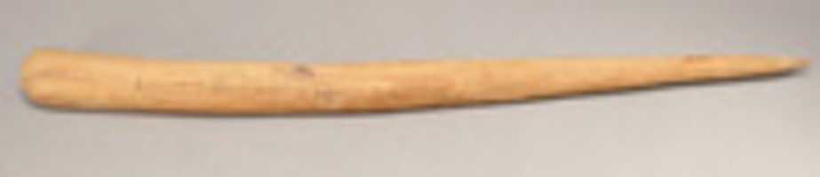 Free download Surveyors Stake from a Foundation Deposit for Hatshepsuts Temple free photo or picture to be edited with GIMP online image editor