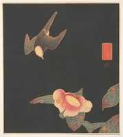 Free download Swallow and Camellia free photo or picture to be edited with GIMP online image editor