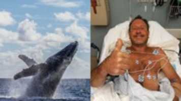 Free download Swallowed By Whale 06132021 ( 22) free photo or picture to be edited with GIMP online image editor