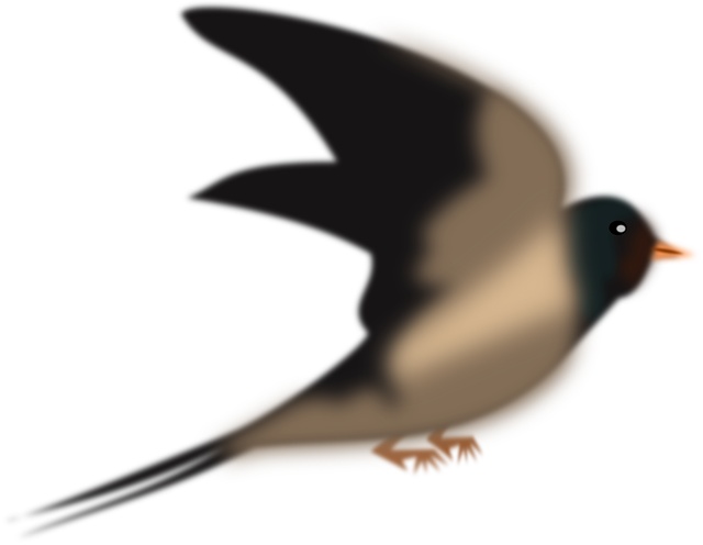 Free download Swallow Martin Pigeon - Free vector graphic on Pixabay free illustration to be edited with GIMP free online image editor