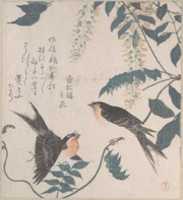 Free download Swallows and Wisteria free photo or picture to be edited with GIMP online image editor