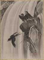 Free download Swallows by a Waterfall free photo or picture to be edited with GIMP online image editor