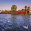 Swan and house on the lake  screen for extension Chrome web store in OffiDocs Chromium