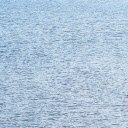 Swan and the lake  screen for extension Chrome web store in OffiDocs Chromium