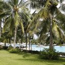 swimming pool and coconut trees  screen for extension Chrome web store in OffiDocs Chromium