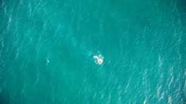 Free download Swimming Swim Water -  free video to be edited with OpenShot online video editor