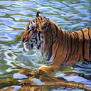 Écran Swimming Tiger pour extension Chrome web store dans OffiDocs Chromium