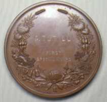 Free download Sydney International Exhibition Medal free photo or picture to be edited with GIMP online image editor