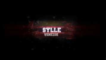 Free download sylle free photo or picture to be edited with GIMP online image editor