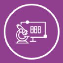 Synapse Pathology Workflow Extension  screen for extension Chrome web store in OffiDocs Chromium