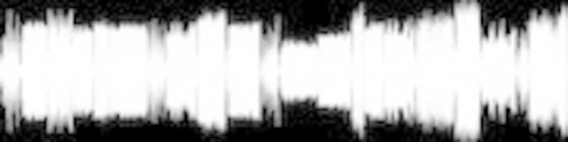 Free download Syndrome 81 Cover free photo or picture to be edited with GIMP online image editor