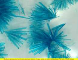 Free download Synthetic chalconatronite free photo or picture to be edited with GIMP online image editor